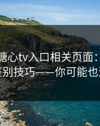 我查了糖心tv入口相关页面：真假页面的鉴别技巧——你可能也遇到过