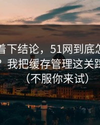 先别急着下结论，51网到底怎么用才不后悔？我把缓存管理这关踩明白了（不服你来试）