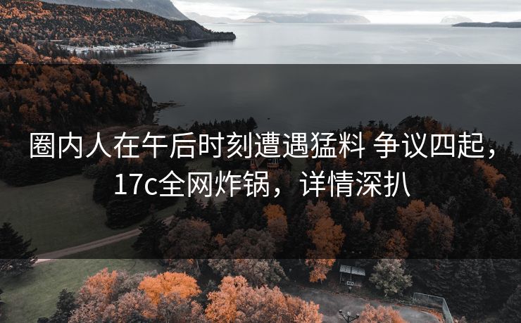 圈内人在午后时刻遭遇猛料 争议四起，17c全网炸锅，详情深扒