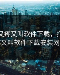 打扑克又疼又叫软件下载，打扑克又疼又叫软件下载安装网站