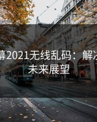 中文字幕2021无线乱码：解决方案与未来展望