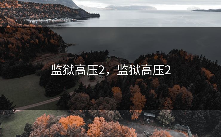 监狱高压2，监狱高压2