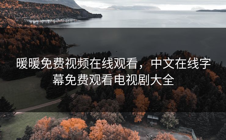 暖暖免费视频在线观看，中文在线字幕免费观看电视剧大全