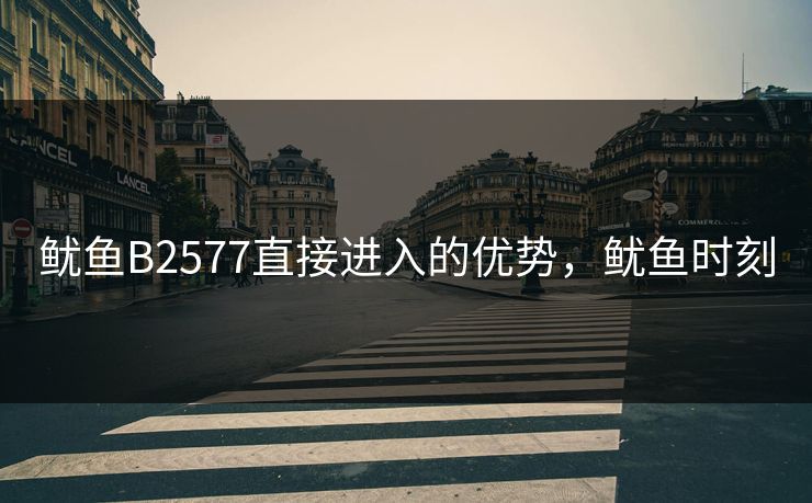 鱿鱼B2577直接进入的优势，鱿鱼时刻